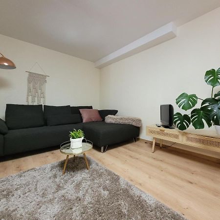 Ferienwohnung Riesling Bobenheim am Berg المظهر الخارجي الصورة